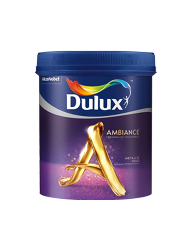 DULUX AMBIANCE SPECIAL EFFECT